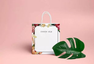 风味新章 Cvece Zla 餐馆的品牌与包装设计